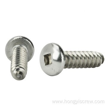 Square Drive Pan Head Stainless Steel Self-tapping Screw